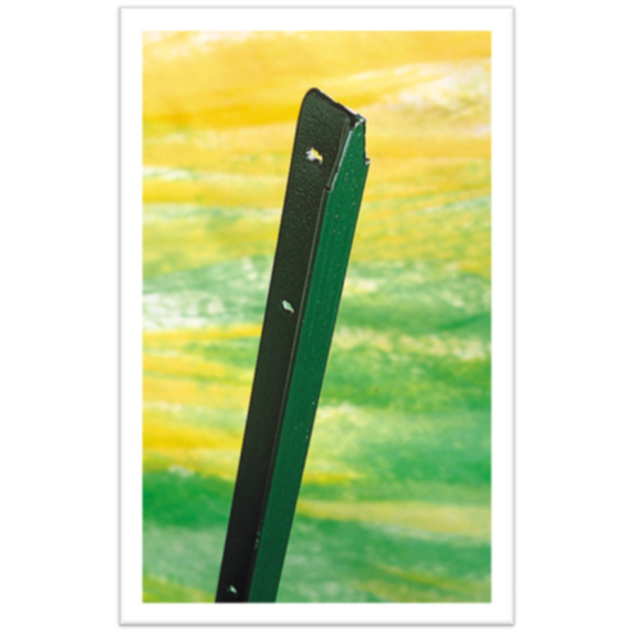 Poteau acier plastifié vert 6005 - H0,75m - DIRICKX