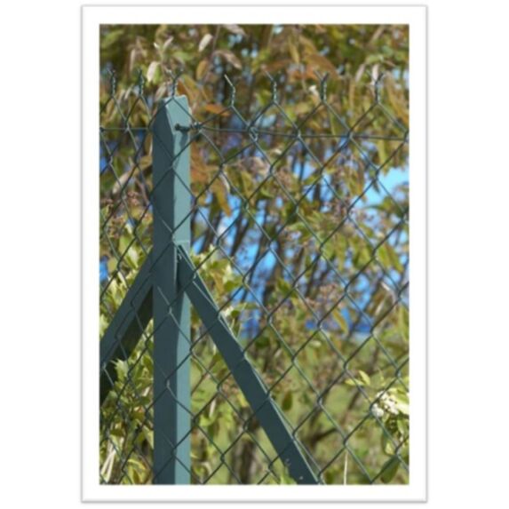 Piquet Poteau TE Plastifié Gris 7016 Section 30x3mm 1,20m - DIRICKX