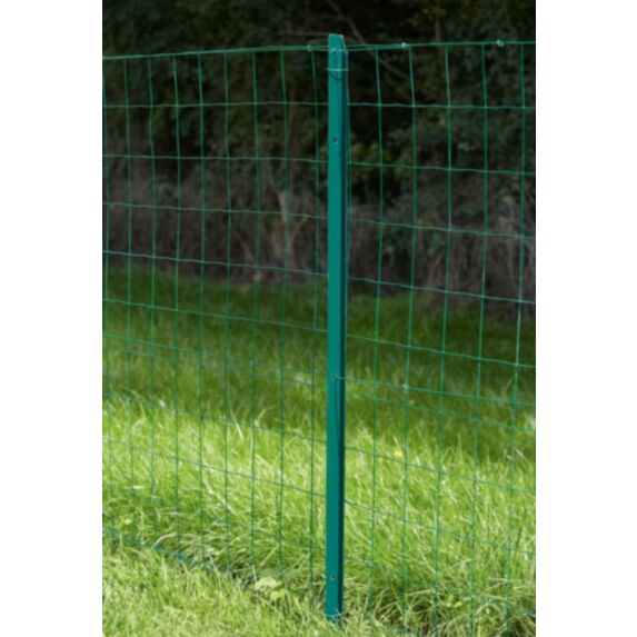 Grillage en Rouleau Soudé Vert 20x1m - DIRICKX