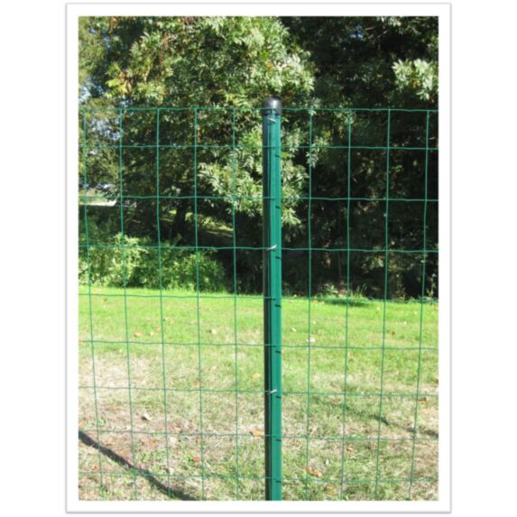 Grillage en Rouleau Soudé Vert H1,2x20m - DIRICKX