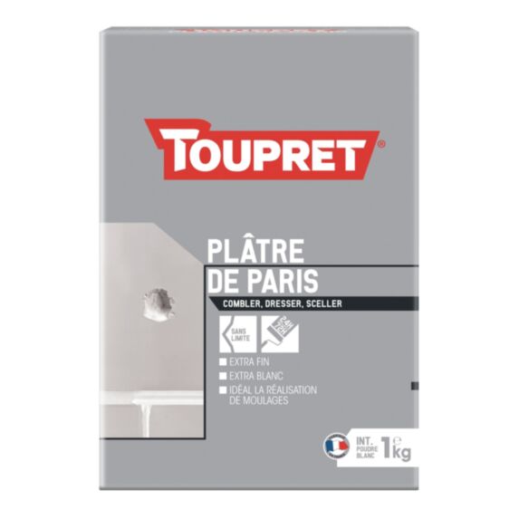 Plâtre de Paris poudre 1 kg - blanc - TOUPRET