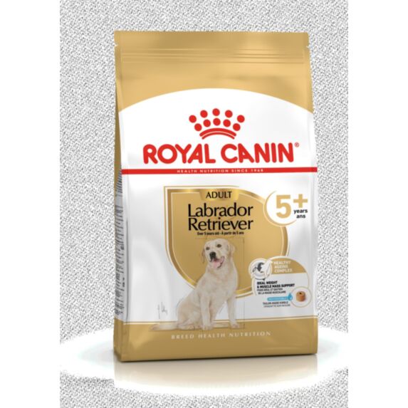 Croquette Chien Labrador Adult 5+ 12kg - ROYAL CANIN
