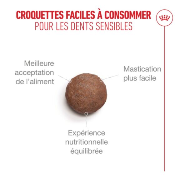 Croquettes chat Ageing 15+ 2kg - ROYAL CANIN