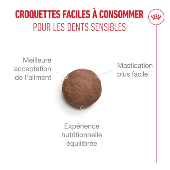 Croquettes chat Ageing 11+ 4kg - ROYAL CANIN