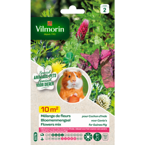 Mélange de fleurs pour Cochons d'Inde - VILMORIN
