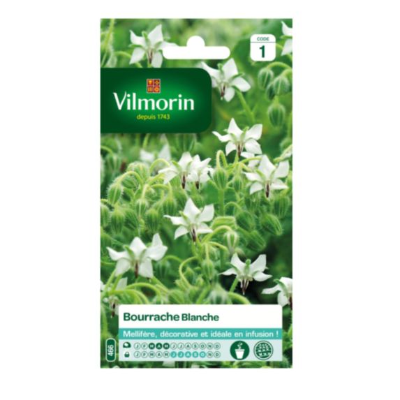 Graines bourrache blanche VL.1 - VILMORIN