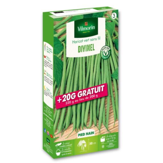 Haricot divinel, nain sans fil, série 3 Vilmorin