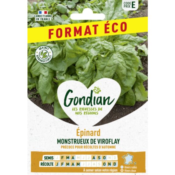 Epinard Monstrueux de Viroflay - GONDIAN