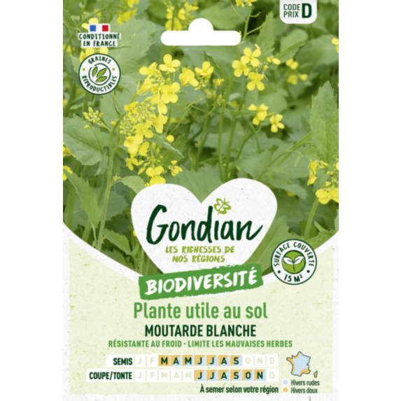 Plantes utiles au sol - Moutarde Blanche - GONDIAN