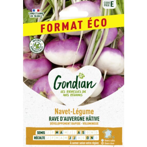 Navet-Légume Rave d'Auvergne Hâtive - GONDIAN