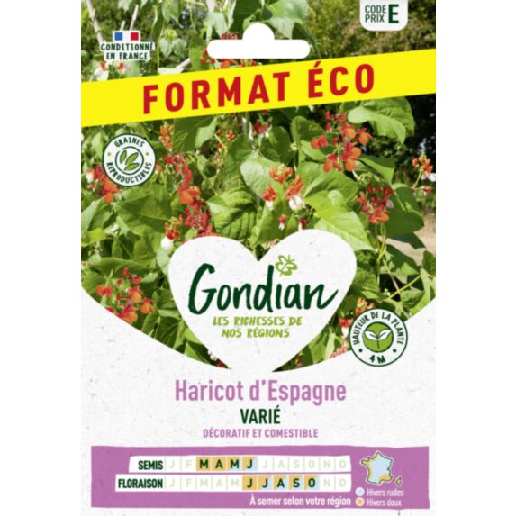 Haricot d'Espagne Varié - GONDIAN