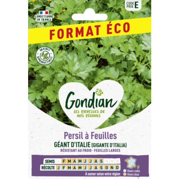 Persil à feuilles Gigante d'Italia (Géant d'Italie) - GONDIAN