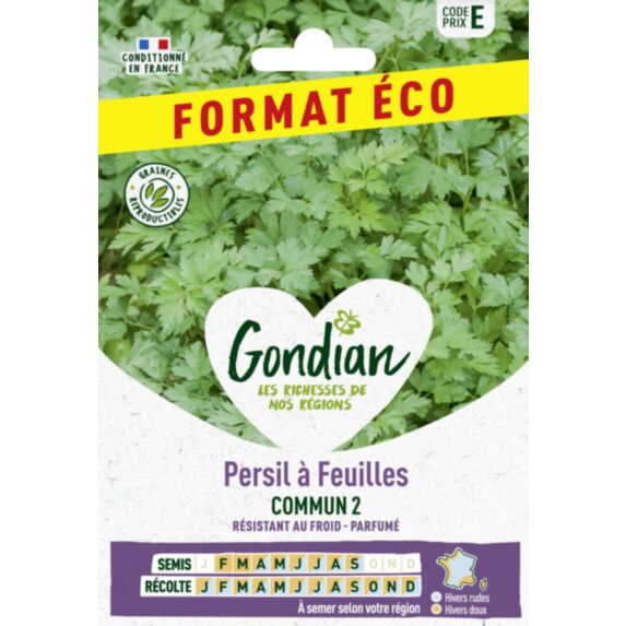 Persil à feuilles Commun 2 - GONDIAN