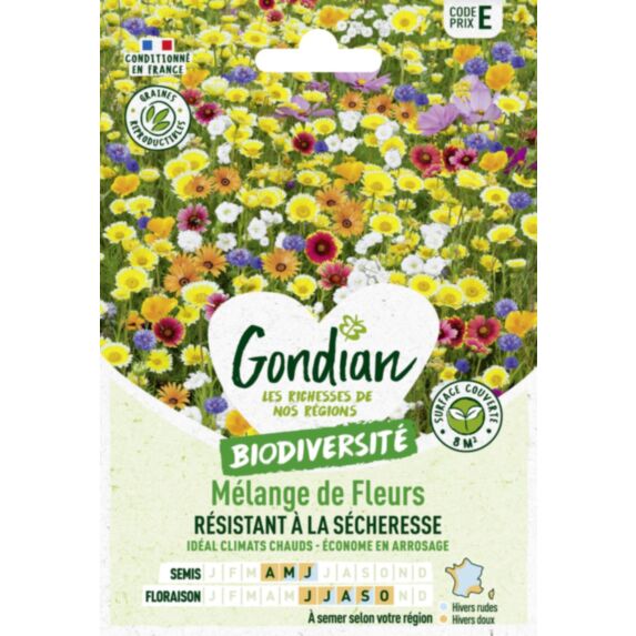 Mélange de fleurs pour Terrain Sec - GONDIAN