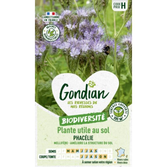 Graine Phacélie 100m2 60cm - GONDIAN