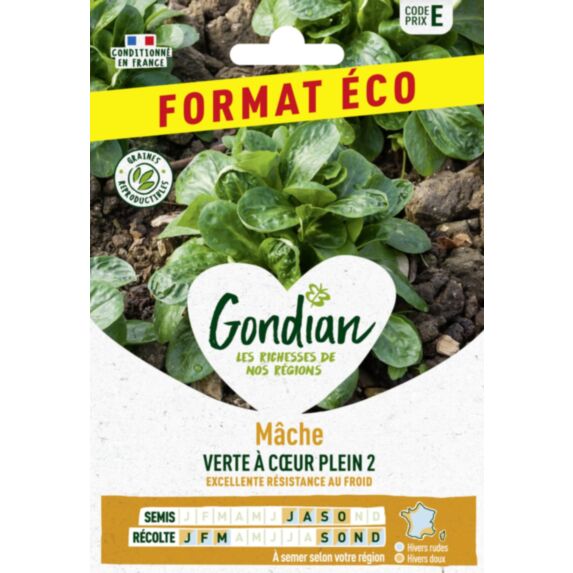 Mâche Verte à Cœur Plein 3 - GONDIAN