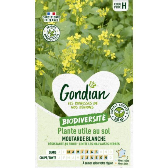 Plantes utiles au sol - Moutarde Blanche - GONDIAN