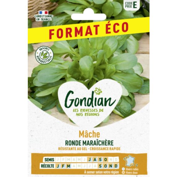 Mâche Ronde Maraîchère - GONDIAN