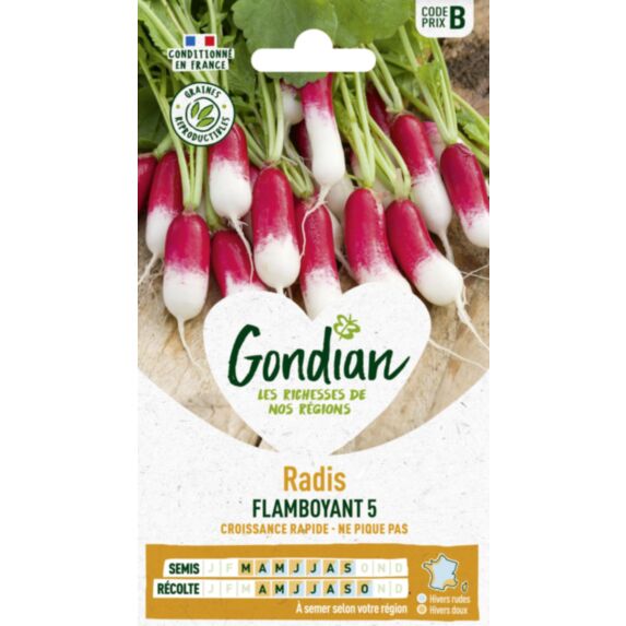 Radis Flamboyant 5 - GONDIAN