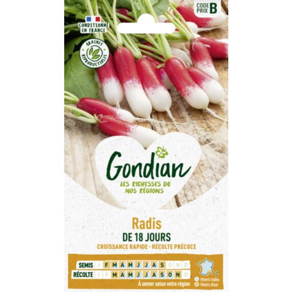 Radis de 18 Jours - GONDIAN