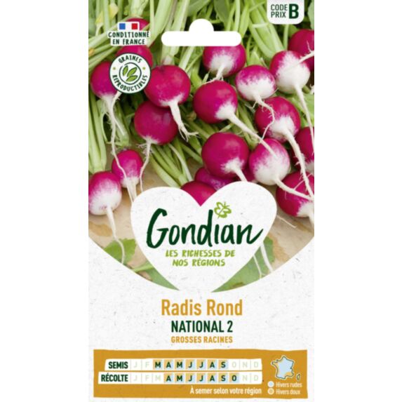 Radis National 2 - GONDIAN