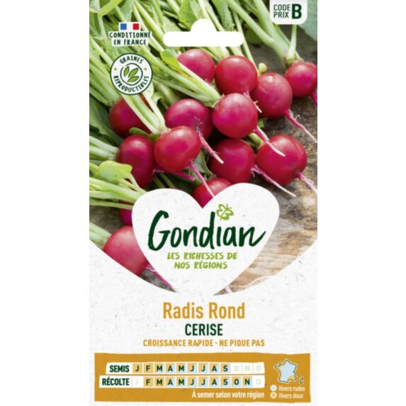 Radis Cerise - GONDIAN