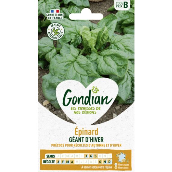 Epinard Géant d'Hiver - GONDIAN