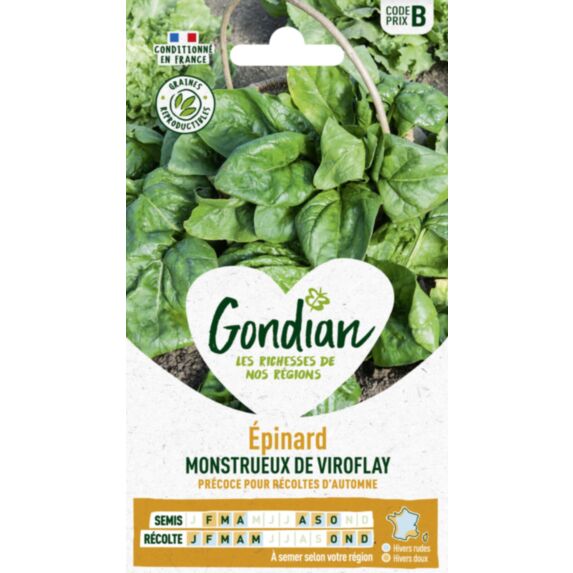 Epinard Monstrueux de Viroflay - GONDIAN