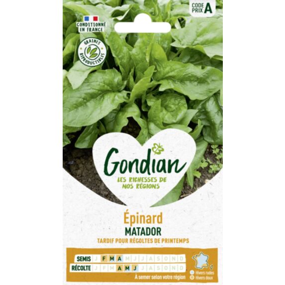 Epinard Matador - GONDIAN