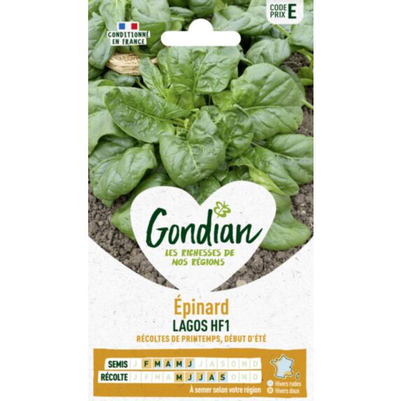 Epinard Lagos HF1 - GONDIAN