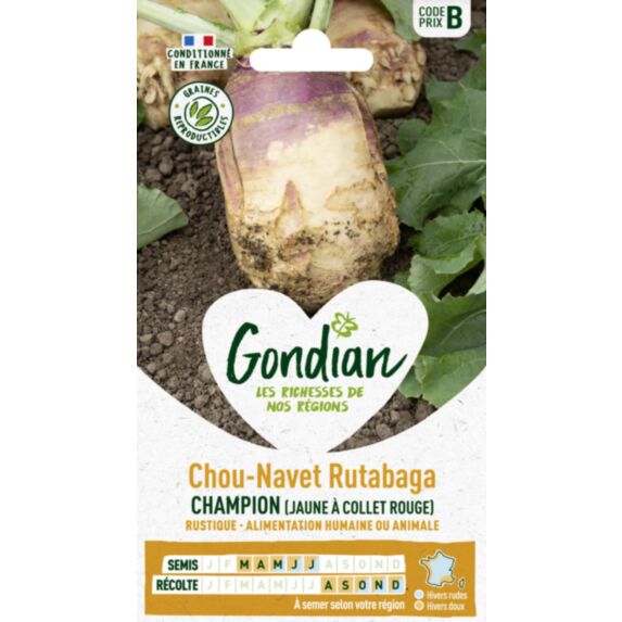 Rutabaga (Chou-Navet) Champion (Jaune à Collet Rouge) - GONDIAN