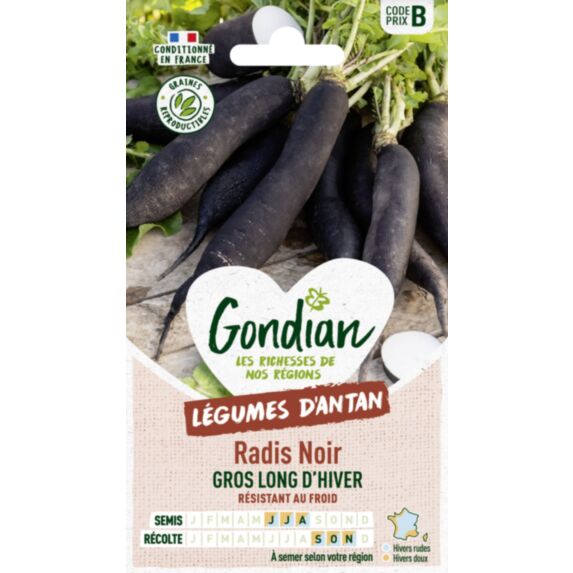 Radis Noir Noir Gros Long d'Hiver - GONDIAN