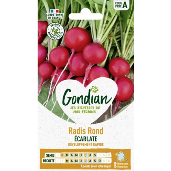 Radis Rond Ecarlate race Loto - GONDIAN