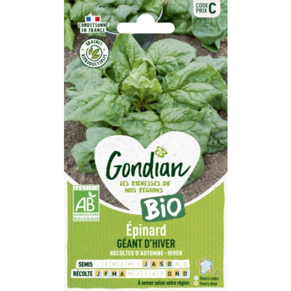 Epinard Géant d'Hiver Bio - GONDIAN