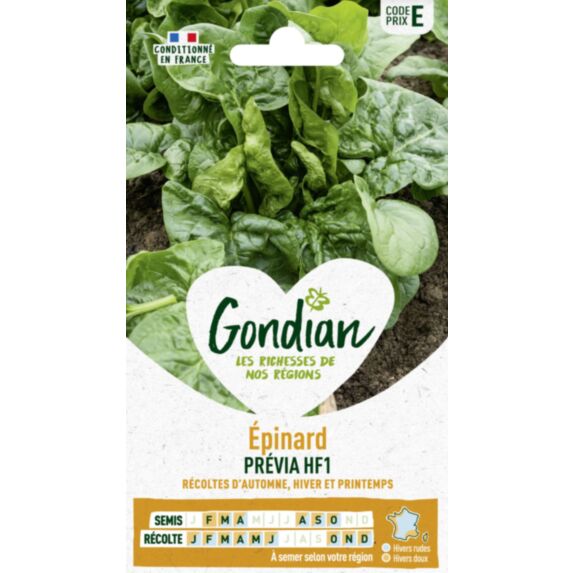 Epinard Prévia HF1 - GONDIAN