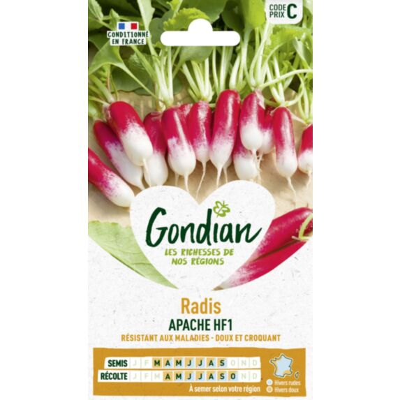 Radis Apache HF1 - GONDIAN