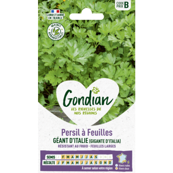 Persil à feuilles Gigante d'Italia (Géant d'Italie) - GONDIAN