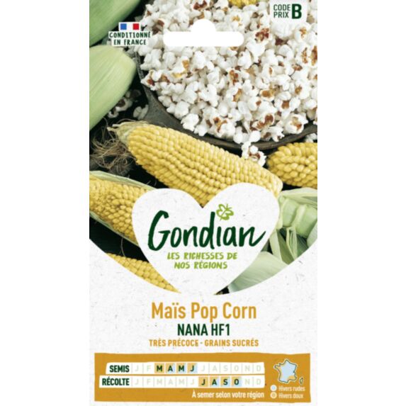 Oignon Pop Corn Nana HF1 - GONDIAN