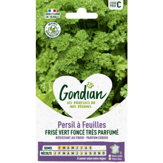 Persil à feuilles Frisé Vert Foncé race Robust - GONDIAN