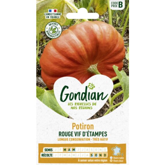 Potiron Rouge Vif d'Etampes - GONDIAN