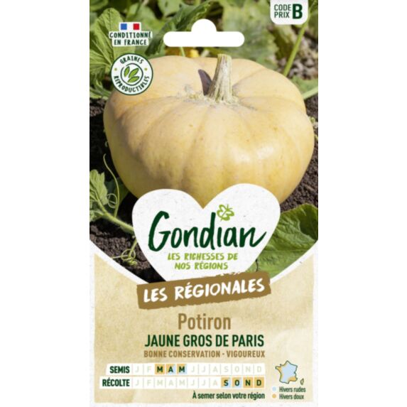 Potiron Jaune Gros de Paris - GONDIAN