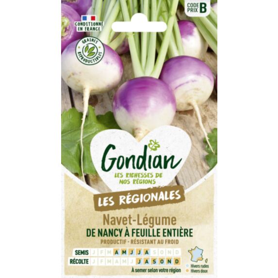Navet-Légume de Nancy à Feuille Entière - GONDIAN