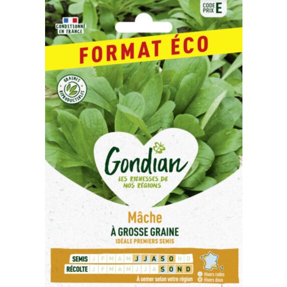 Mâche à Grosse Graine - GONDIAN
