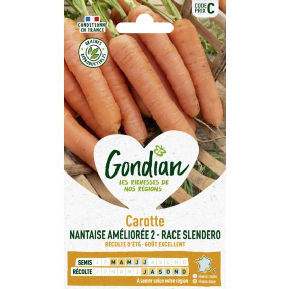 Carotte Nantaise 2 race Slendero - GONDIAN