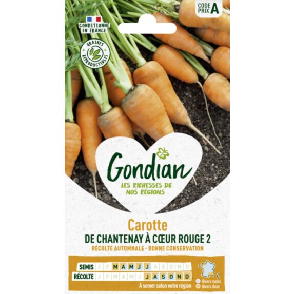 Carotte de Chantenay à Cœur Rouge 2 - GONDIAN