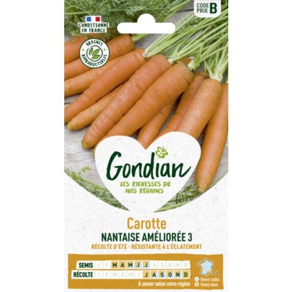 Carotte Nantaise Améliorée 3 - GONDIAN