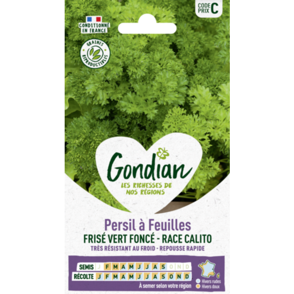 Persil à feuilles Frisé Vert Foncé race Calito - GONDIAN