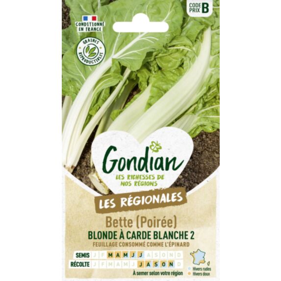 Poirée / Bette Blonde à Carde Blanche 2 - GONDIAN