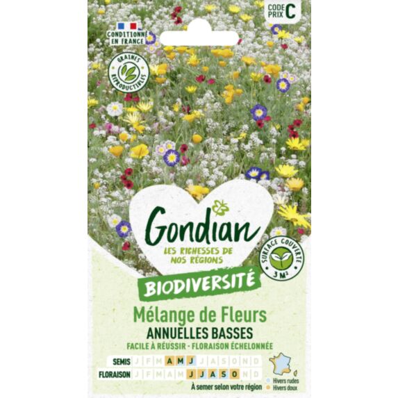 Mélange de fleurs Fleurs Annuelles Naines - GONDIAN