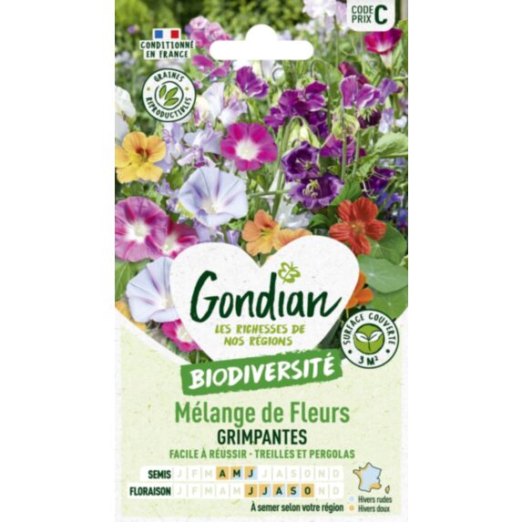 Mélange de fleurs Fleurs Grimpantes - GONDIAN